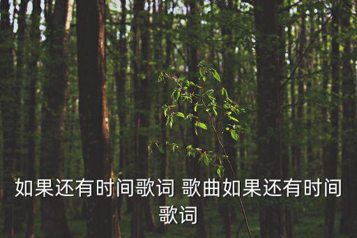 如果還有時間歌詞 歌曲如果還有時間歌詞
