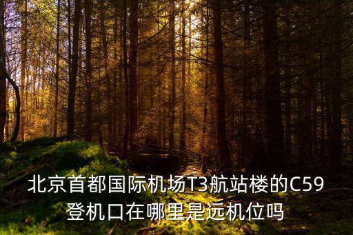 北京首都國際機場T3航站樓的C59登機口在哪里是遠(yuǎn)機位嗎