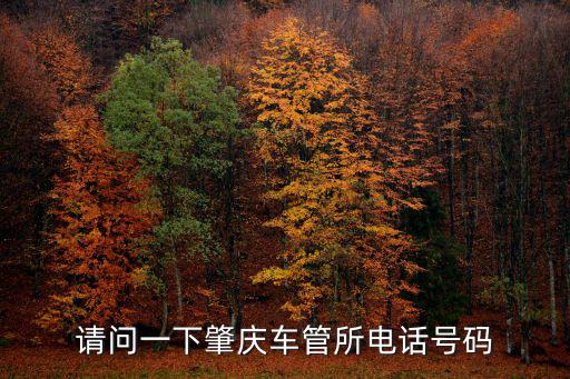 請問一下肇慶車管所電話號碼