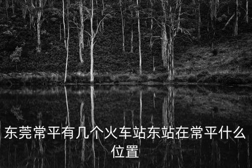 東莞常平有幾個火車站東站在常平什么位置