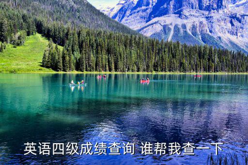 英語四級成績查詢 誰幫我查一下