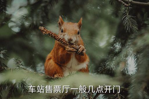車站售票廳一般幾點開門