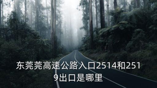 東莞莞高速公路入口2514和2519出口是哪里
