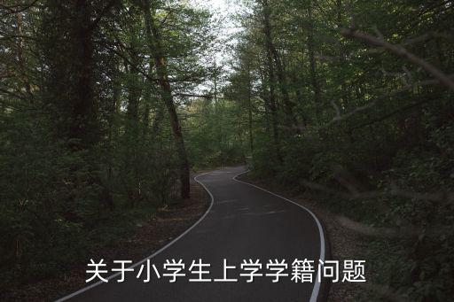 小學學籍，關于小學生上學學籍問題
