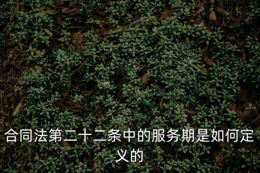 服務期是什么意思，服務期預定的服務期具體指什么