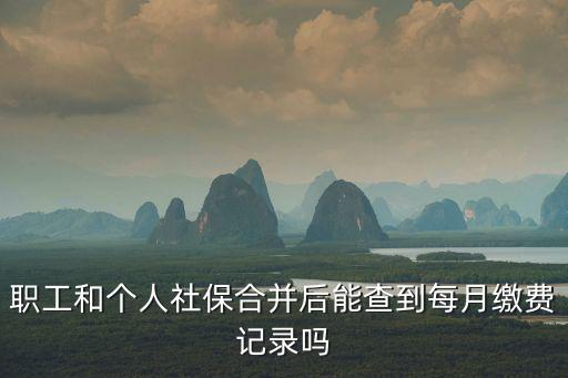 職工和個人社保合并后能查到每月繳費記錄嗎