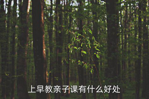 上早教親子課有什么好處
