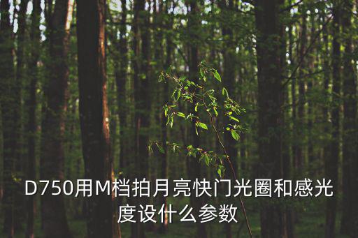 D750用M檔拍月亮快門光圈和感光度設什么參數