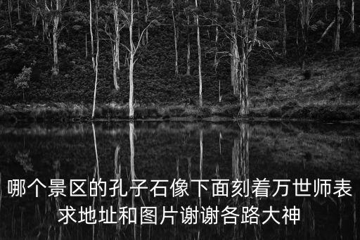 哪個(gè)景區(qū)的孔子石像下面刻著萬世師表求地址和圖片謝謝各路大神