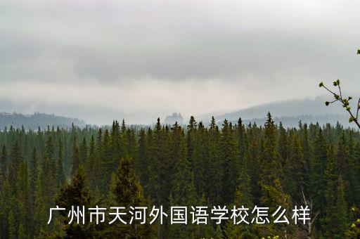 天河外國語學校，廣州市天河外國語學校怎么樣
