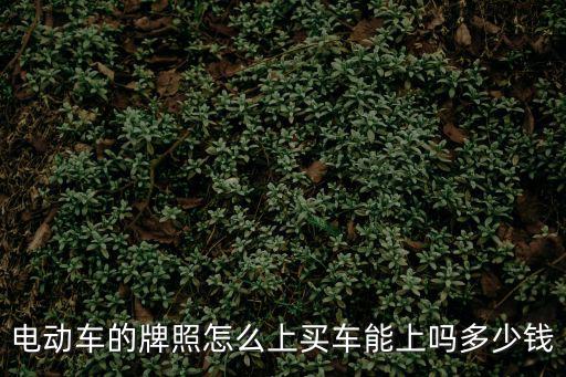 電動車的牌照怎么上買車能上嗎多少錢