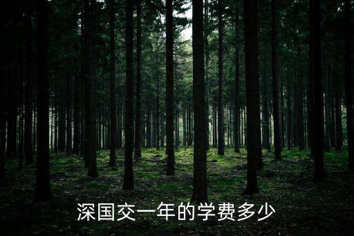深國交一年的學費多少