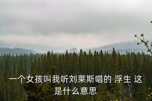 一個女孩叫我聽劉萊斯唱的 浮生 這是什么意思
