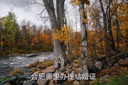 合肥哪里辦理結(jié)婚證