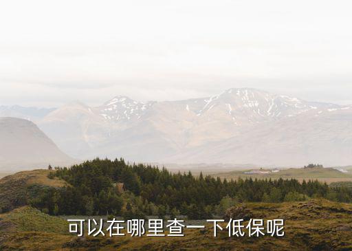 可以在哪里查一下低保呢