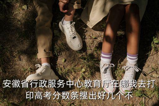 安徽省行政服務(wù)中心教育廳在哪我去打印高考分數(shù)條搜出好幾個不