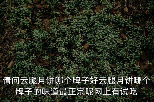 請問云腿月餅哪個牌子好云腿月餅哪個牌子的味道最正宗呢網上有試吃