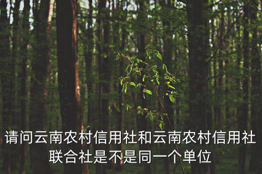 云南農信社，云南農村合作銀行