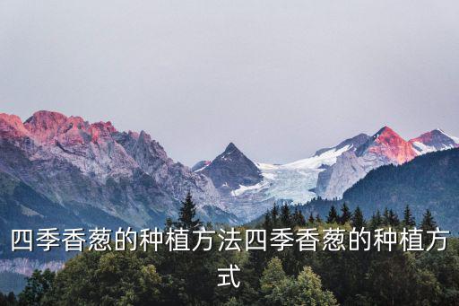 四季香，四季香怎么養(yǎng)