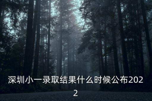 深圳小一錄取結果什么時候公布2022