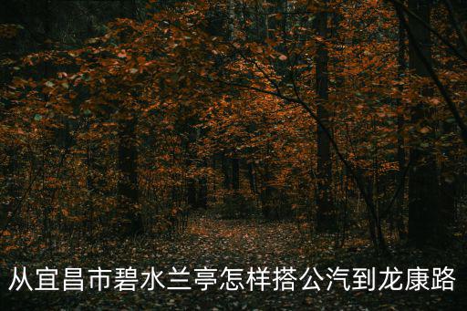 碧水蘭庭，從宜昌市碧水蘭亭怎樣搭公汽到龍康路