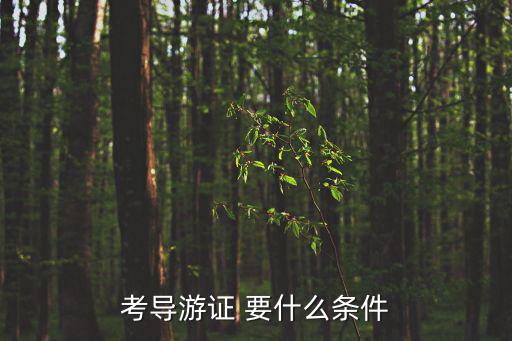 考導(dǎo)游證 要什么條件