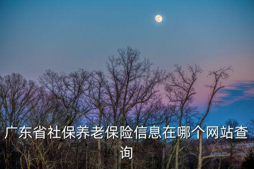 廣東省社保養老保險信息在哪個網站查詢