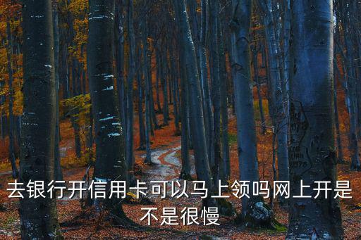 去銀行開信用卡可以馬上領(lǐng)嗎網(wǎng)上開是不是很慢