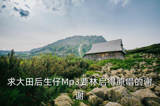 求大田后生仔Mp3要林啟得原唱的謝謝
