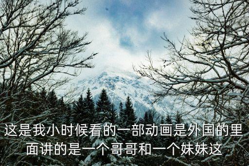 這是我小時候看的一部動畫是外國的里面講的是一個哥哥和一個妹妹這