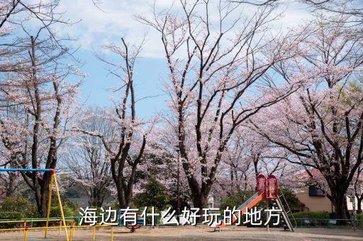 海邊有什么好玩的地方