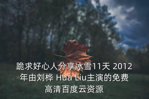 跪求好心人分享冰雪11天 2012年由劉樺 Hua Liu主演的免費高清百度云資源