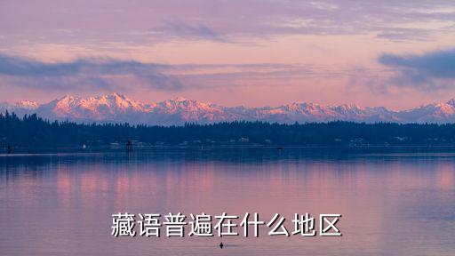 藏語普遍在什么地區