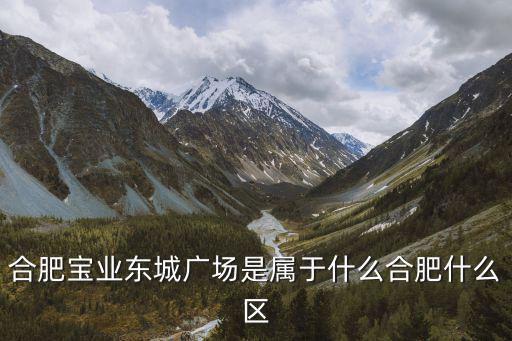 合肥寶業(yè)東城廣場是屬于什么合肥什么區(qū)