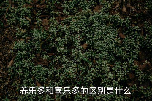 養樂多和喜樂多的區別是什么