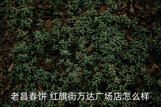 老昌春餅 紅旗街萬達廣場店怎么樣