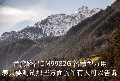 臺(tái)灣路昌，臺(tái)灣路昌DM9982G 智慧型萬用表只要測(cè)試那些方面的丫