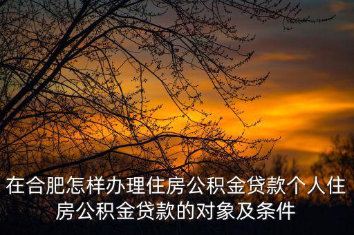 在合肥怎樣辦理住房公積金貸款個人住房公積金貸款的對象及條件