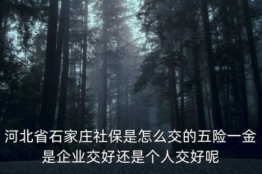河北省石家莊社保是怎么交的五險(xiǎn)一金是企業(yè)交好還是個(gè)人交好呢