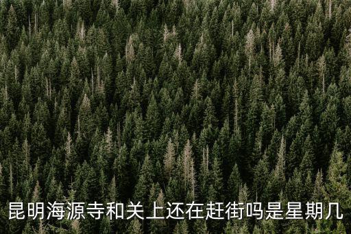 昆明海源寺和關上還在趕街嗎是星期幾