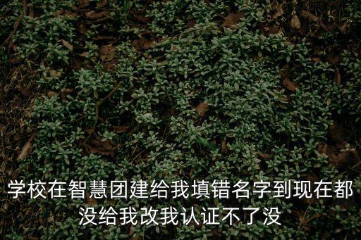 學校在智慧團建給我填錯名字到現在都沒給我改我認證不了沒