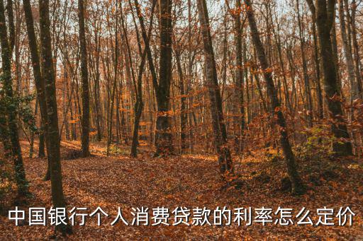 貸款定價，中國銀行個人消費貸款的利率怎么定價