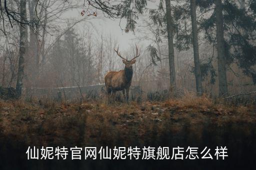 仙妮，仙妮特的英文是什么