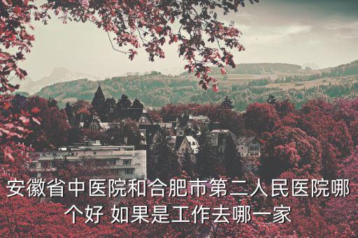 安徽省中醫院和合肥市第二人民醫院哪個好 如果是工作去哪一家