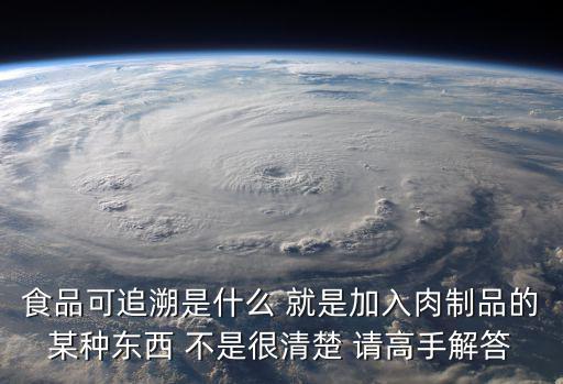 食品可追溯是什么 就是加入肉制品的某種東西 不是很清楚 請(qǐng)高手解答