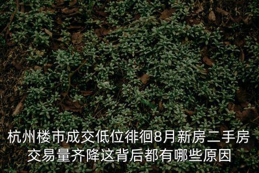 杭州樓市成交低位徘徊8月新房二手房交易量齊降這背后都有哪些原因