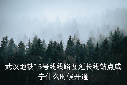 武漢地鐵15號線線路圖延長線站點咸寧什么時候開通