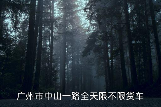廣州市中山一路全天限不限貨車