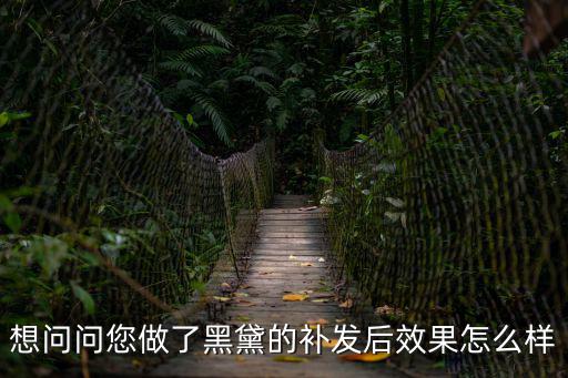 想問(wèn)問(wèn)您做了黑黛的補(bǔ)發(fā)后效果怎么樣