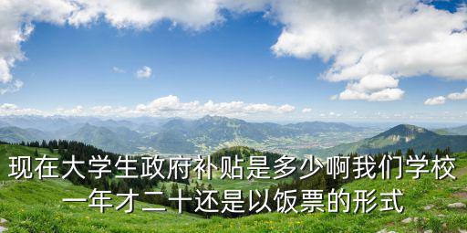 現在大學生政府補貼是多少啊我們學校一年才二十還是以飯票的形式